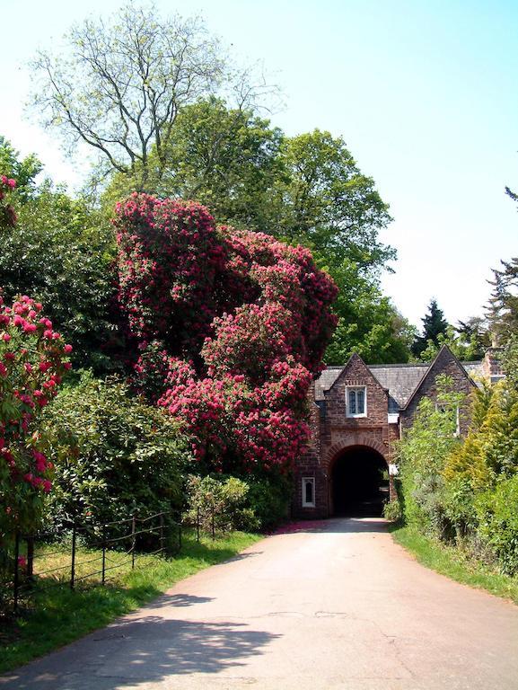 Aveland House Babbacombe Hotell Torquay Eksteriør bilde